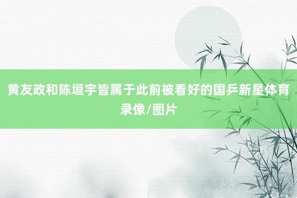 黄友政和陈垣宇皆属于此前被看好的国乒新星体育录像/图片