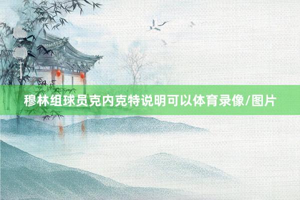 穆林组球员克内克特说明可以体育录像/图片