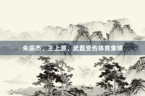 朱辰杰、王上源、武磊受伤体育集锦