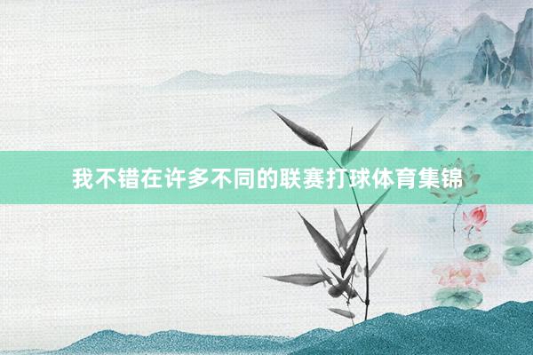 我不错在许多不同的联赛打球体育集锦