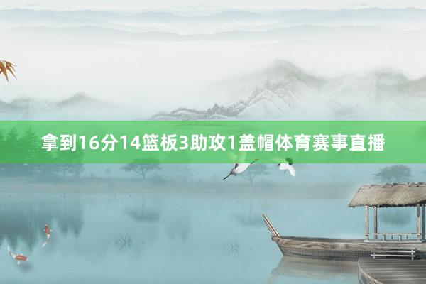 拿到16分14篮板3助攻1盖帽体育赛事直播