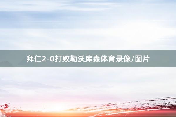 拜仁2-0打败勒沃库森体育录像/图片
