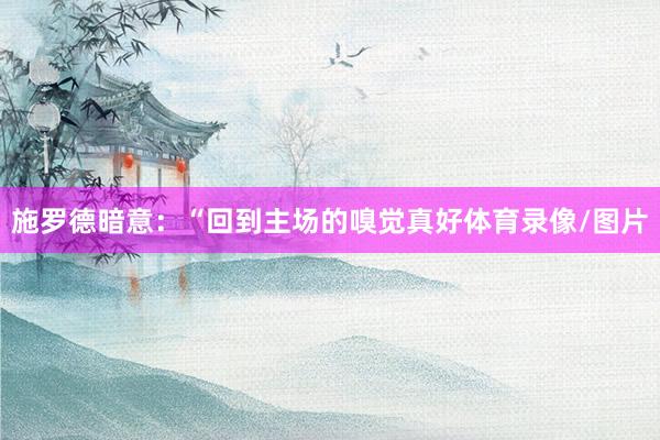施罗德暗意：“回到主场的嗅觉真好体育录像/图片
