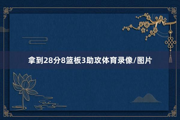 拿到28分8篮板3助攻体育录像/图片