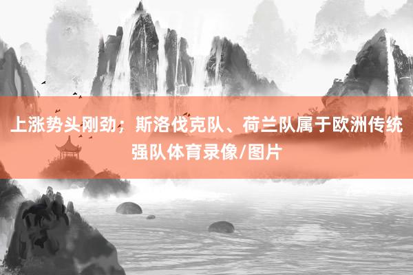 上涨势头刚劲；斯洛伐克队、荷兰队属于欧洲传统强队体育录像/图片