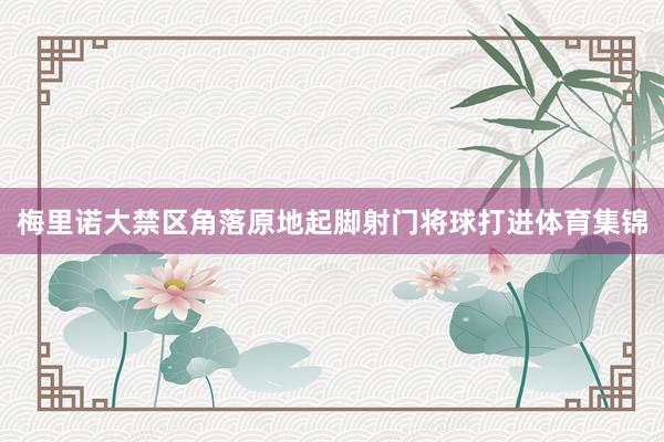梅里诺大禁区角落原地起脚射门将球打进体育集锦