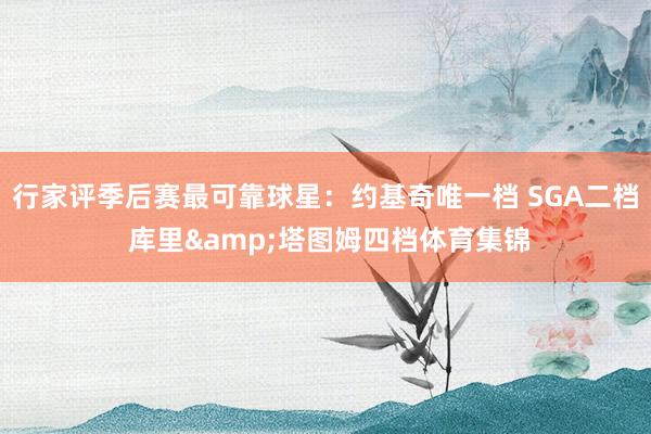 行家评季后赛最可靠球星：约基奇唯一档 SGA二档 库里&塔图姆四档体育集锦
