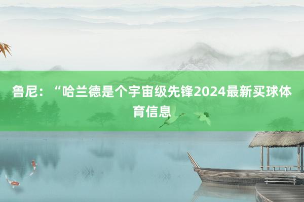 鲁尼：“哈兰德是个宇宙级先锋2024最新买球体育信息