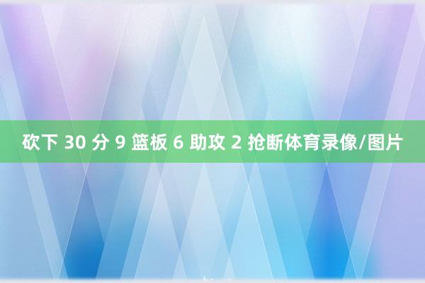 砍下 30 分 9 篮板 6 助攻 2 抢断体育录像/图片
