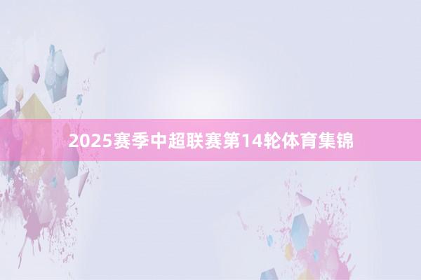 2025赛季中超联赛第14轮体育集锦