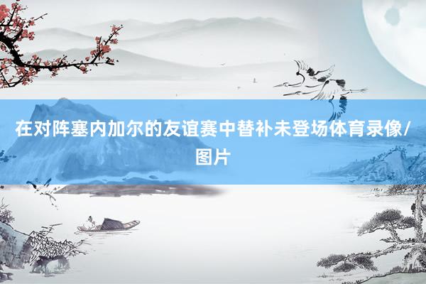 在对阵塞内加尔的友谊赛中替补未登场体育录像/图片