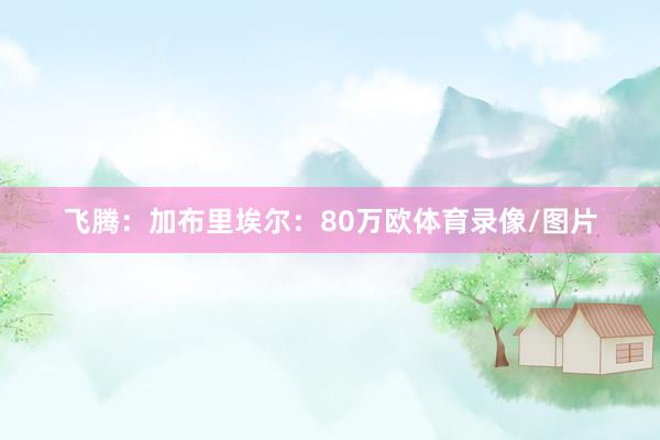 飞腾：加布里埃尔：80万欧体育录像/图片