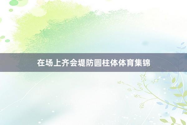 在场上齐会堤防圆柱体体育集锦