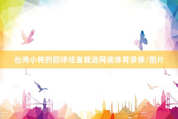 台湾小将的回球径直栽进网底体育录像/图片