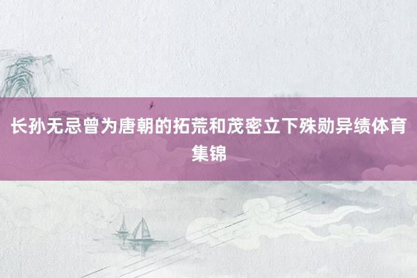 长孙无忌曾为唐朝的拓荒和茂密立下殊勋异绩体育集锦