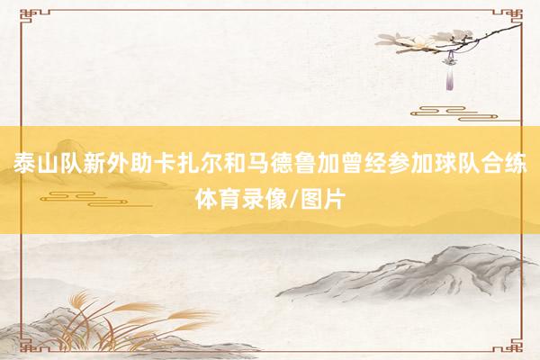 泰山队新外助卡扎尔和马德鲁加曾经参加球队合练体育录像/图片