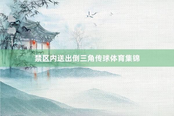 禁区内送出倒三角传球体育集锦