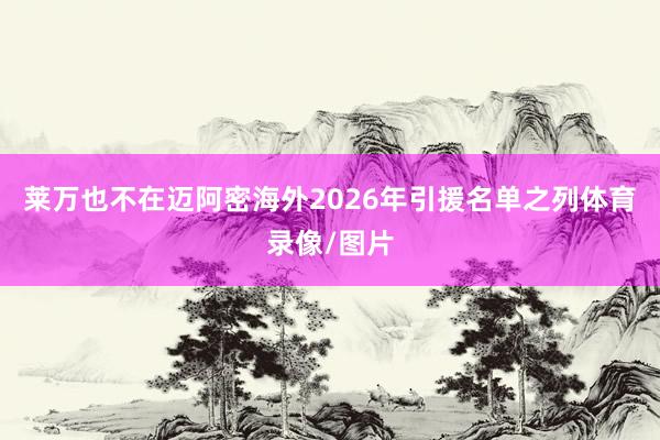 莱万也不在迈阿密海外2026年引援名单之列体育录像/图片