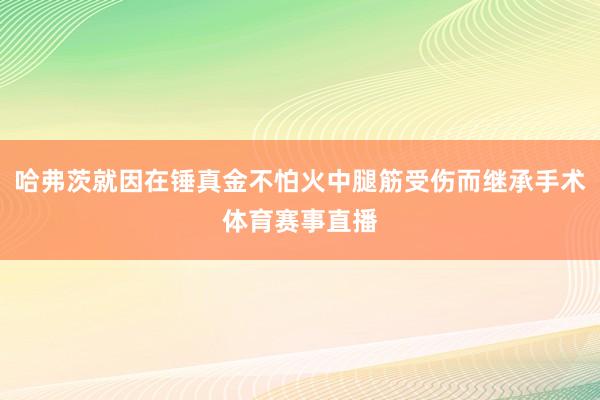 哈弗茨就因在锤真金不怕火中腿筋受伤而继承手术体育赛事直播