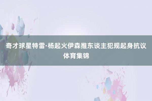 奇才球星特雷·杨起火伊森推东谈主犯规起身抗议体育集锦